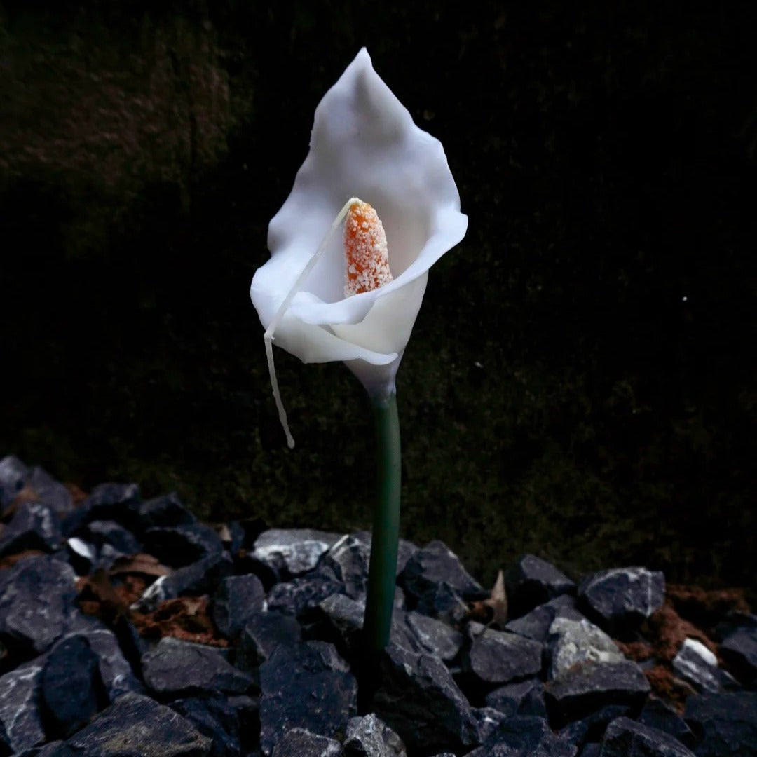 Botanical Art --Handmade Candle