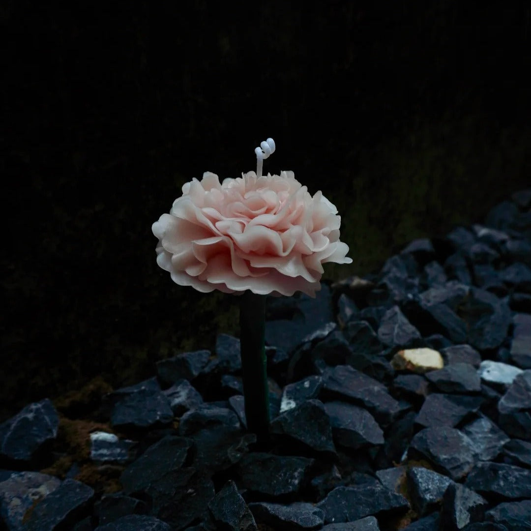 Botanical Art --Handmade Candle