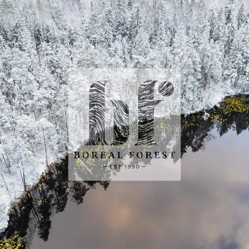 Exploring the Boreal Forest: What Challenges Face Earth's Largest "Green Guardian"?